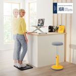 Leitz Standing Desk Converter Tray