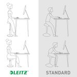 Leitz Ergo Cosy Sit/Stand Stool Gry