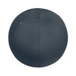Leitz Ergo Cosy Sitting Ball Gry