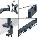 Leitz Ergo Dual Monitor Arm Dgrey