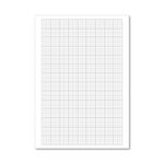 Graph Paper Loose 75Gsm 500Pp