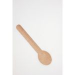 Mycafe Paper Spoon Pk100