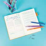 Pilot Frixion Ball Stick Wlt Ast Pk6