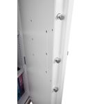 Phoenix Fire Ranger S2 Safe Key Lock