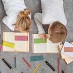 Pukka Pad Pukka Irlen Reading Ruler