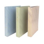 Pukka Pad Haze Ringbinder A4 Ast Pk5