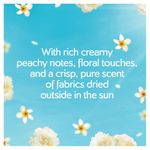 Fairy Outdoorabl Fab Conr 84W 1176Ml