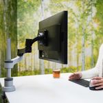R-Go Zepher 4 C2 Single Monitor Arm