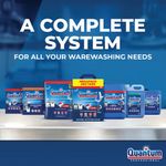Quantum Pro All Dishwash Tablet P100