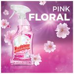 Windolene Glass/Shiny Surf Spray Pk6