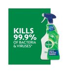 Dettol Mould Mildew Remover 750Ml