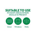 Dettol Mould Mildew Remover 750Ml