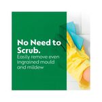 Dettol Mould Mildew Remover 750Ml