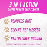 Vanish Gold Crpet Clnr Fm 600Ml Pk6