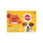 Adult Wet Dog Food Mixed 100G Pk12