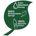 Spontex Unwrapped Sponge Scourer P66