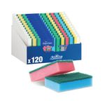 Spontex Sponge Scourers X10 Pk12