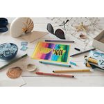 Stabilo Pen 68 Felt Tip Pen Ast Pk20