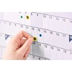 Sasco Year Plnr Cot Ptrt Unmtd 2026