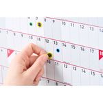 Sasco Academic Planner Unmtd 2026/27