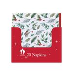 Trad Xmas Party Napkins X20 Pk12