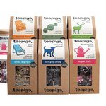 Teapigs Mixed Variety Pack Pk6