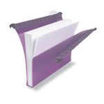 Rexel Multifile Linkable File Pk10