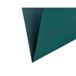 Rexel Crystalfile Susn File Grn Pk50