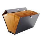 Concept Fc 19 Pocket Expanding File Carr