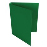 2-Ring Ring Binder A4 25Mm Grn Pk10