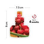 Yankee Scent Plug Refill Blk Ch Pk4