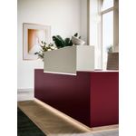 Reception Desk