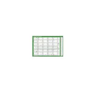 Sasco 2016/17 Fiscal Planner Mtd