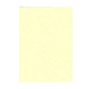 Pavo Leatherboard Covers A4 270Gsm Ivory