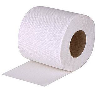 White 2-Ply Toilet Roll 100M Pk24