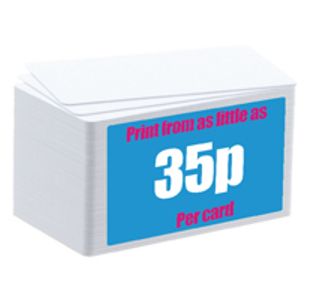 Durable Duracard Light Cards 891402 P100