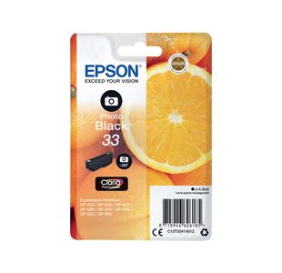 Epson 33 Ink Cartridge Photo Black