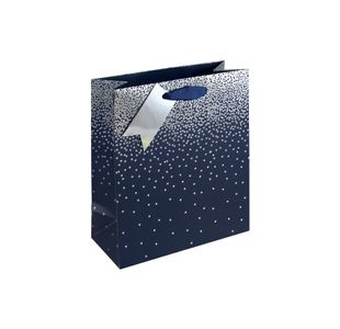 Eurowrap Gift Bag Navy Blue Med Pk6