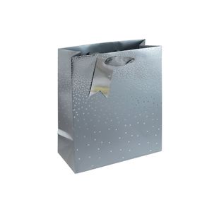 Eurowrap Gift Bag Silver Medium Pk6