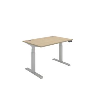 Dm Sit/Stand Desk 1200X800 Oak/Slv