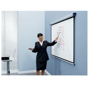 Nobo Projection Scn Mount 2000X1513