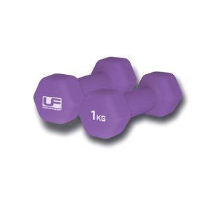 Urban Fitness Dumbbell Purple Pk2