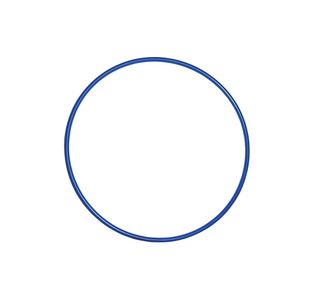 Essential Hula Hoop 18 Inch Blue