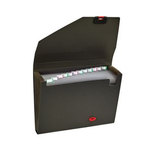 Snopake Reborn Organiser 13-Part Blk