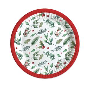 Trad Xmas Party Paper Plates X6 Pk12
