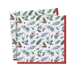 Trad Xmas Party Napkins X20 Pk12