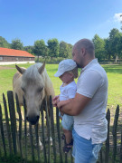 Kijk Silvan dit is nou een Belgisch paard