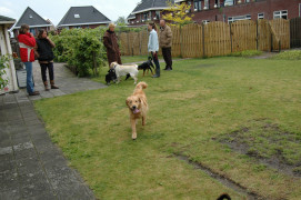 Ben er klaar mee, kom we gaan :)